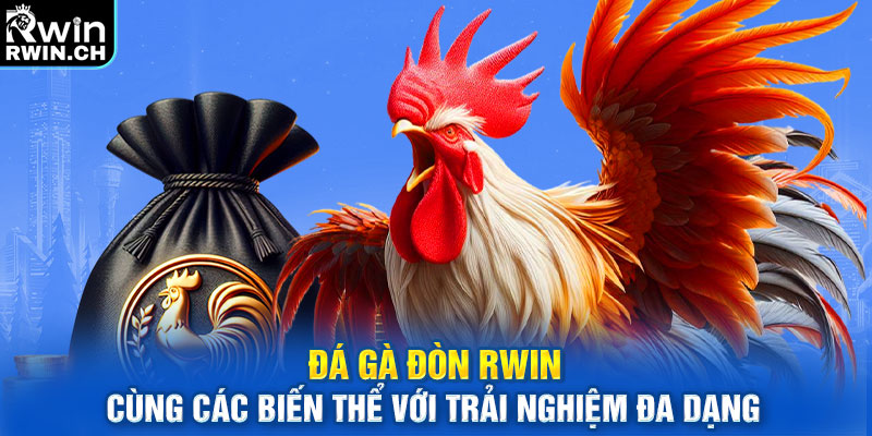 Đá gà đòn cùng các biến thể với trải nghiệm đa dạng