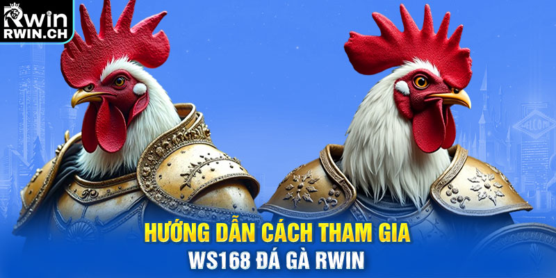 Hướng dẫn cách tham gia WS168 đá gà RWIN