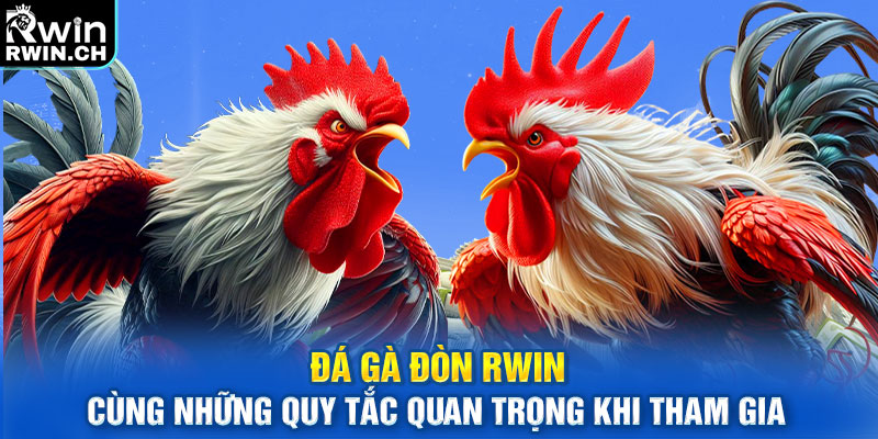 Đá gà đòn cùng những quy tắc quan trọng khi tham gia