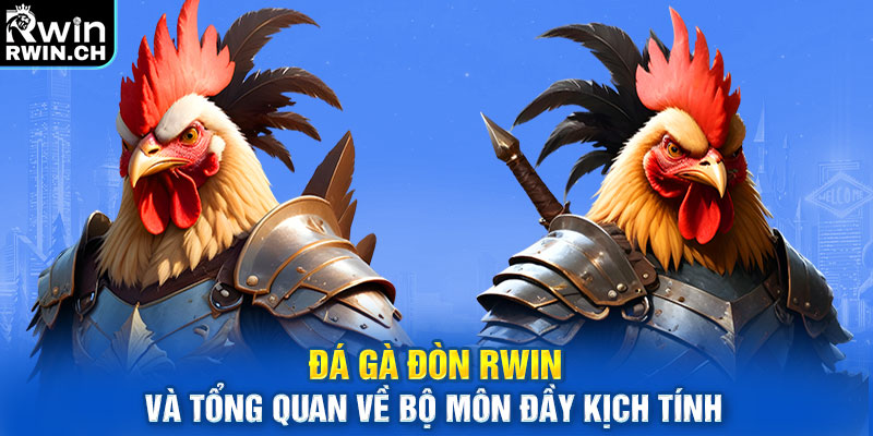 Đá gà đòn và tổng quan về bộ môn đầy kịch tính